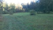Продам земельный участок под ИЖС. фотография